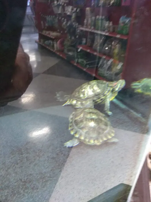 Petco Picture 6