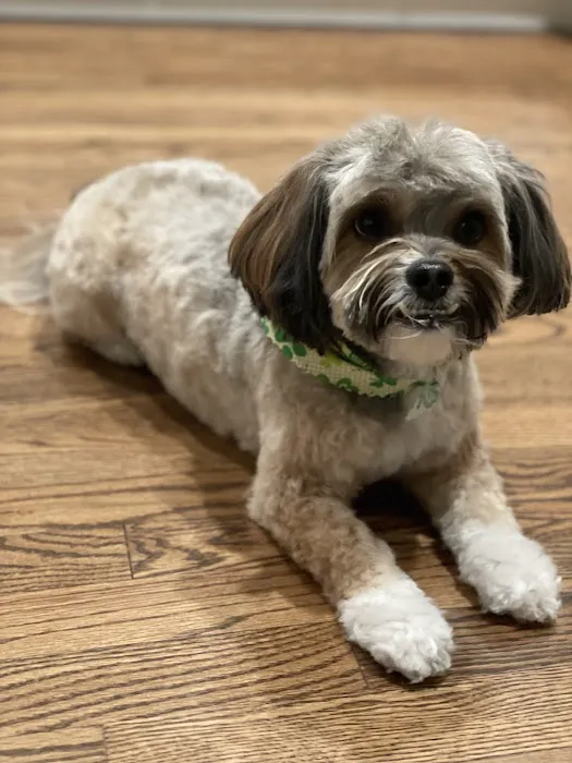 Kriser's Natural Pet Picture 2