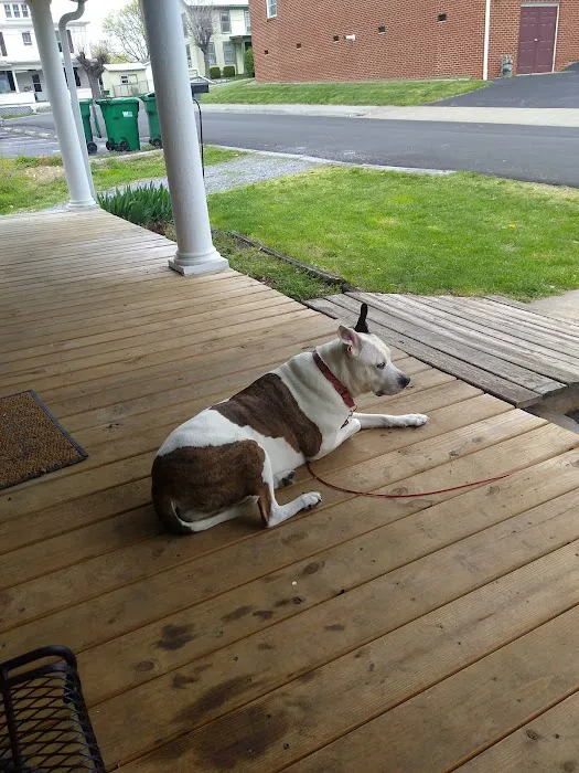 New Market Veterinary Clinic Picture 10