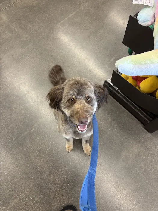 Petco Picture 5
