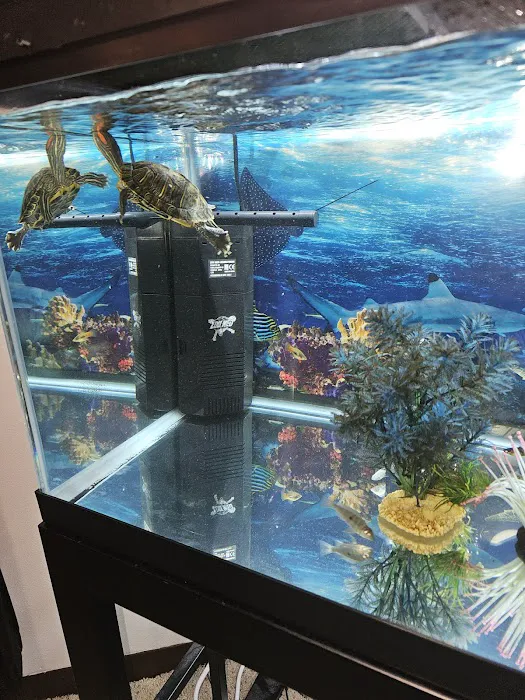 Petco Picture 4