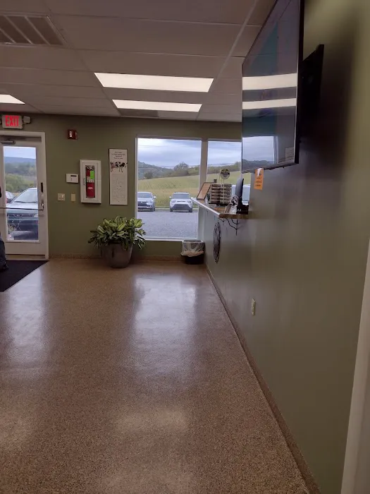 Bracken Ridge Veterinary Medical Doctor, Inc. Picture 3