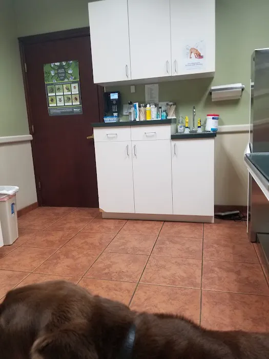 Manetto Hill Animal Hospital Picture 2