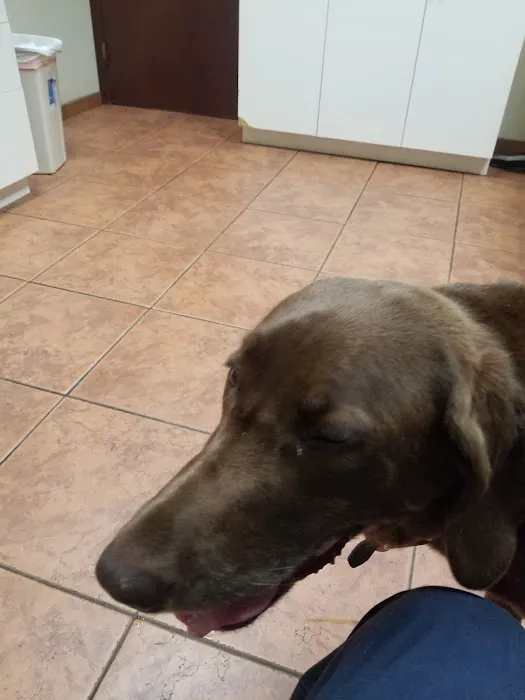 Manetto Hill Animal Hospital Picture 4