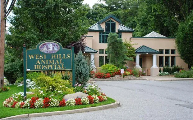 West Hills Animal Hospital & Emergency Center Picture 4