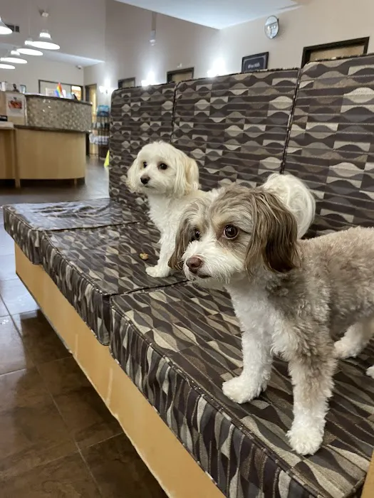 West Hills Animal Hospital & Emergency Center Picture 8