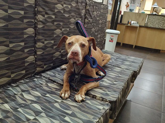 West Hills Animal Hospital & Emergency Center Picture 6