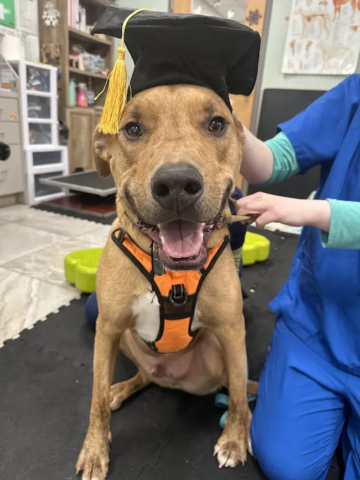 Gold Coast Center for Veterinary Care Picture 2