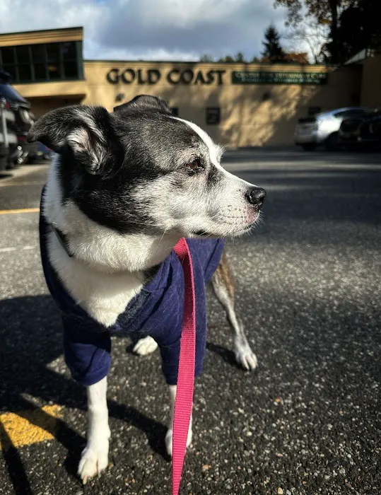 Gold Coast Center for Veterinary Care Picture 5