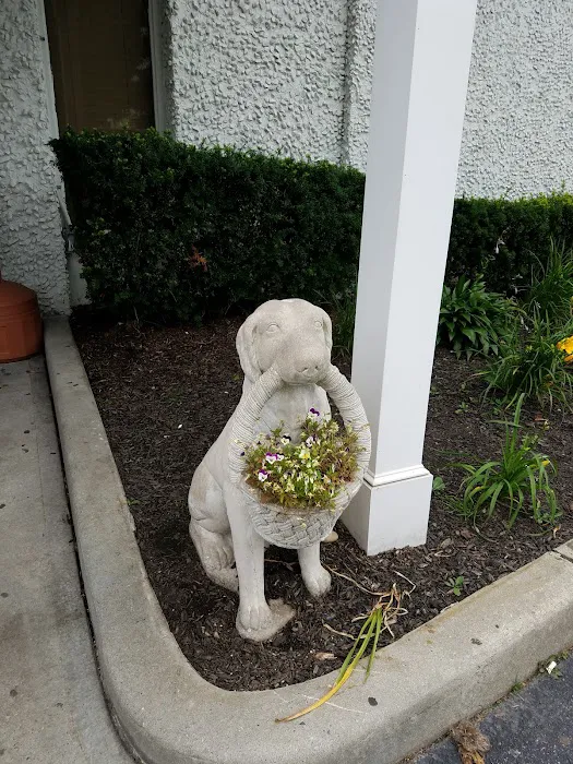 Long Island Veterinary Specialists Picture 10