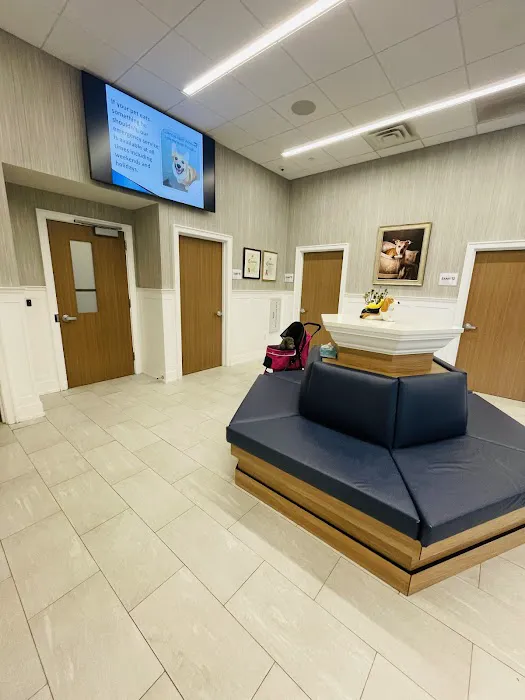 Long Island Veterinary Specialists Picture 9