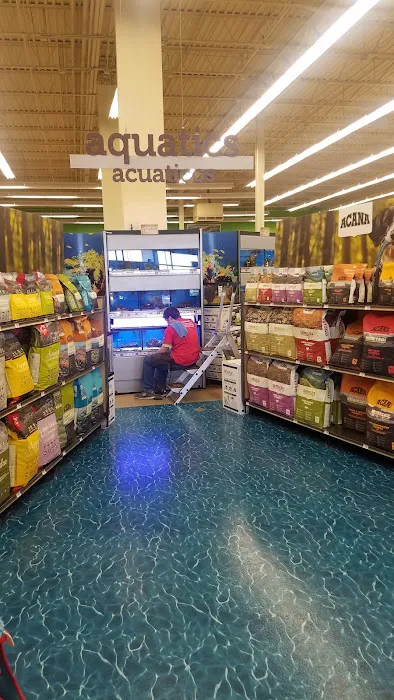 Petco Picture 1