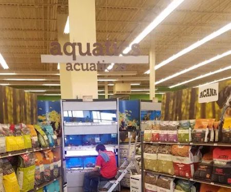 Petco