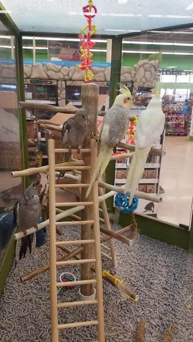 Petco Picture 8