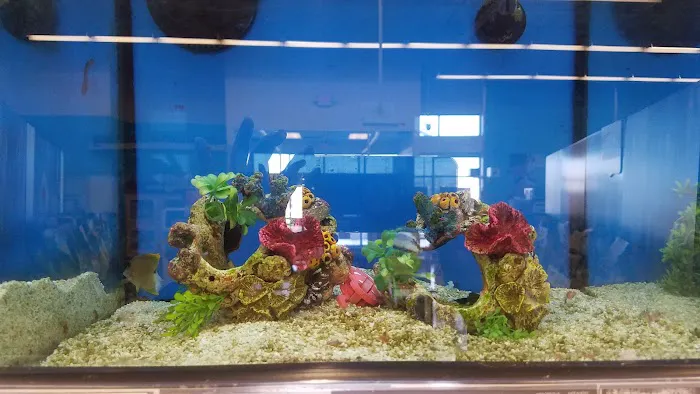 Petco Picture 9