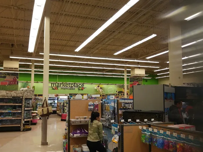 Petco Picture 2