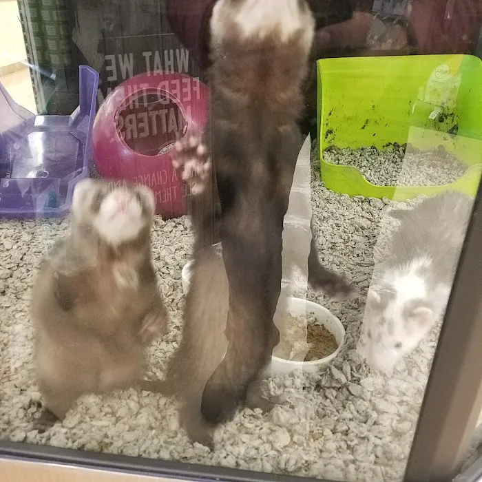 Petco Picture 7
