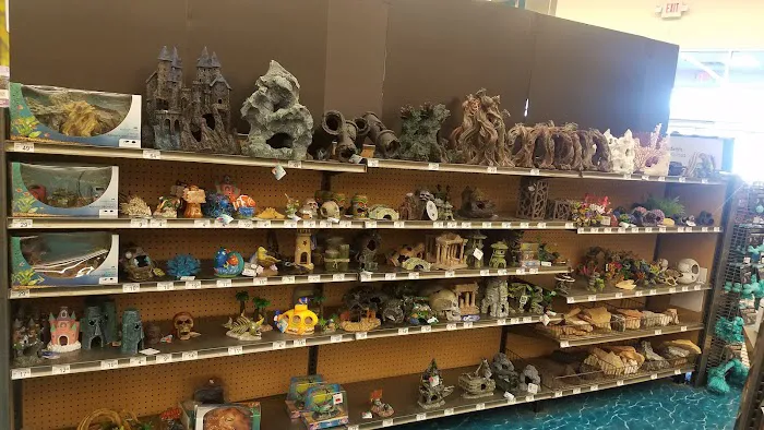 Petco Picture 6