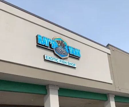 Rays Tank (Exotic Freshwater Fish Store)