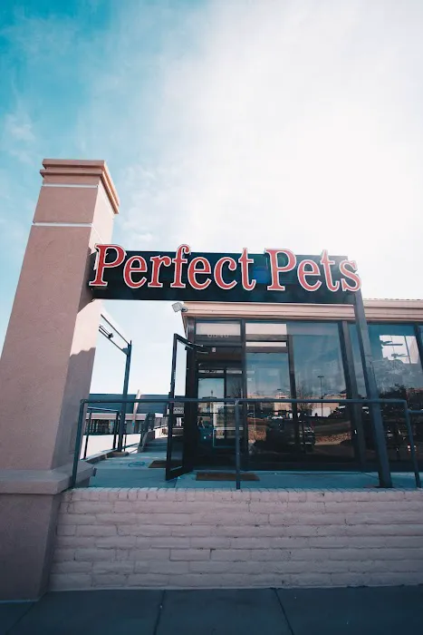 Perfect Pets Picture 1