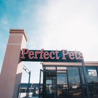 Perfect Pets ico