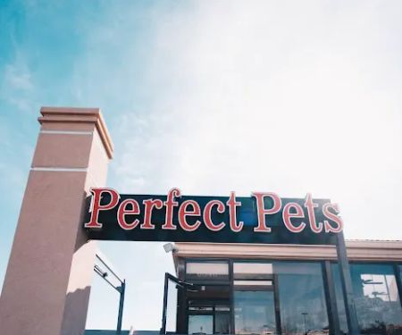 Perfect Pets