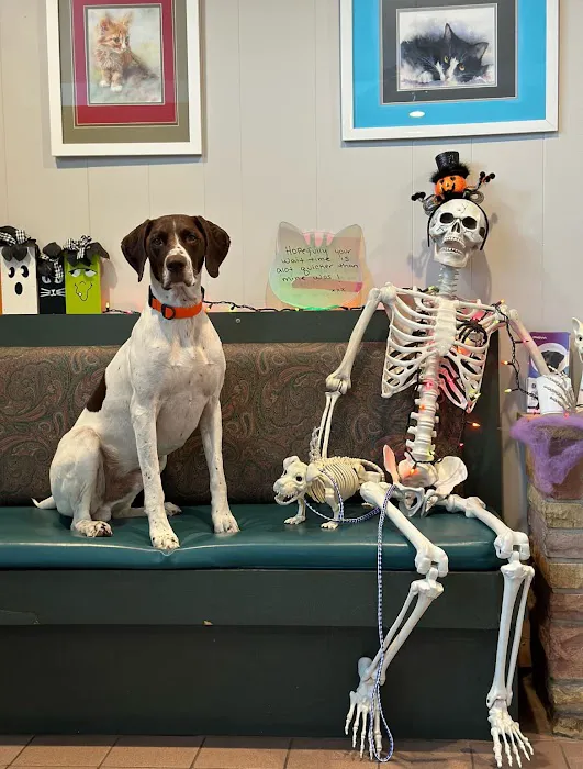 Huntington Animal Hospital Picture 6