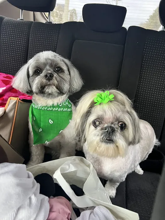 Huntington Animal Hospital Picture 7