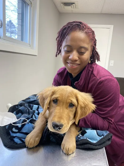 Huntington Animal Hospital Picture 9