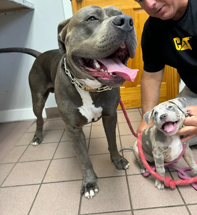 Huntington Animal Hospital Picture 4