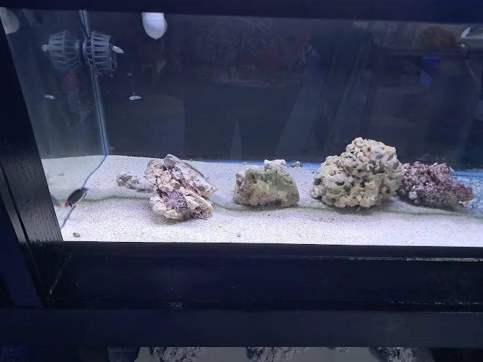 Fins Up Reef Co. Picture 9