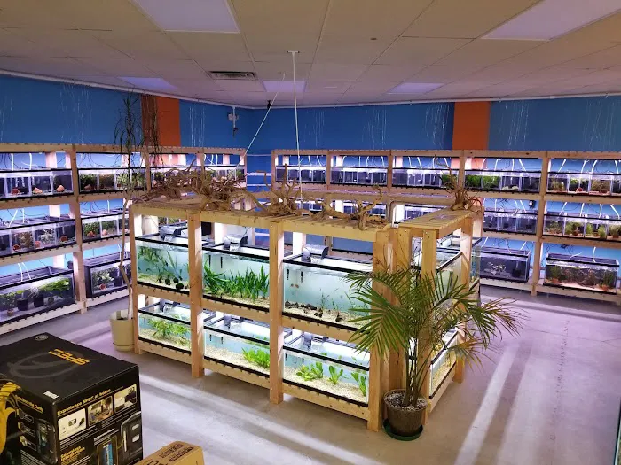 Nature Box Pet Emporium Picture 2