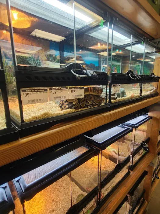 Nature Box Pet Emporium Picture 10