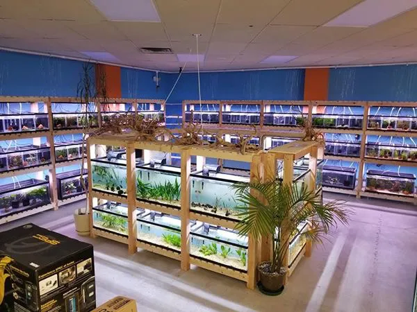 Nature Box Pet Emporium Picture 5