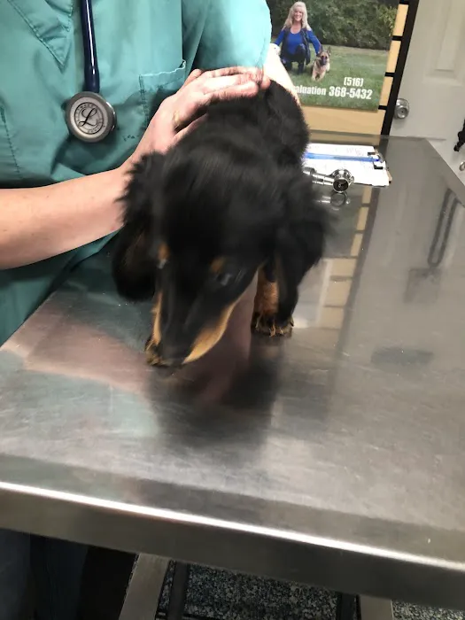 The Animal center LI Picture 1