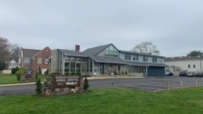 Nassau-Suffolk Animal Hospital Picture 9