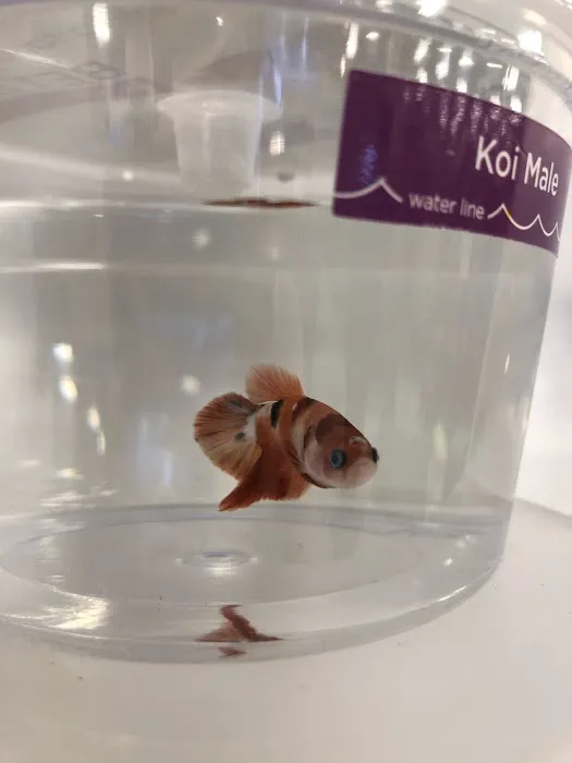 Petco Picture 9