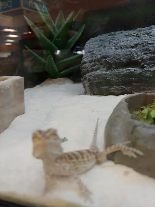 Petco Picture 1
