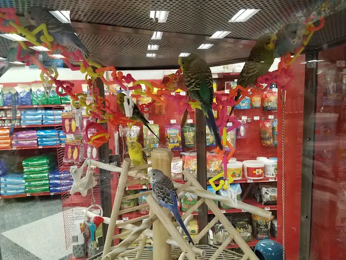 Petco Picture 2