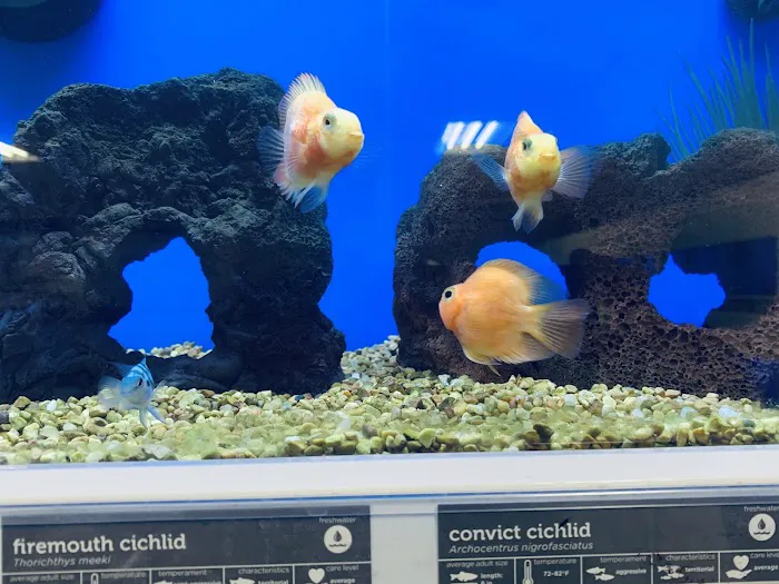 Petco Picture 7