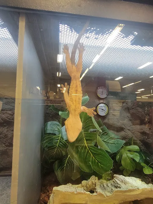 Petco Picture 2