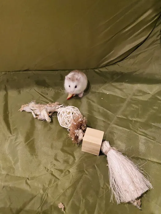 Petco Picture 4