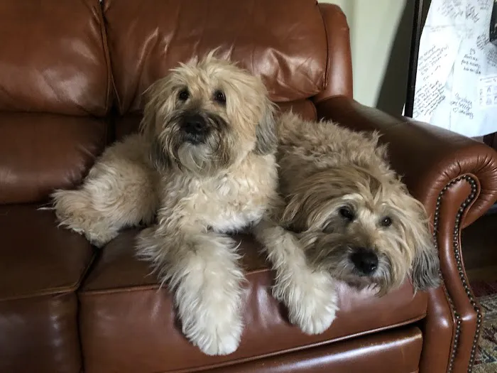 Park Animal Hospital Picture 1