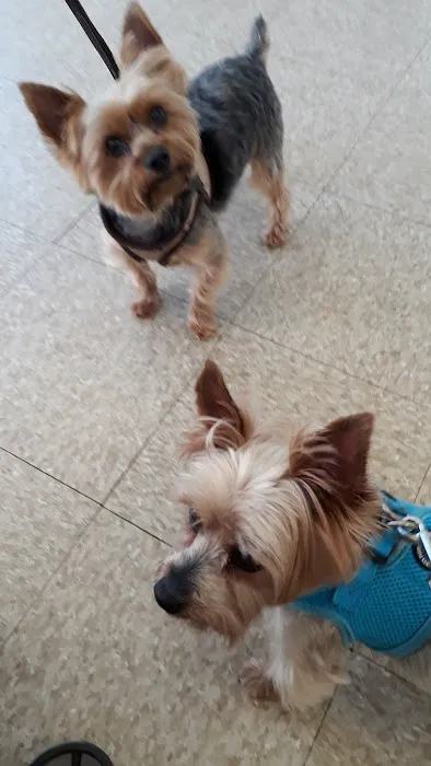 Park Animal Hospital Picture 9