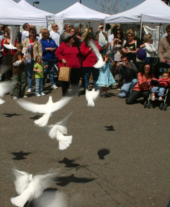 The Front Range Birding Company Picture 1