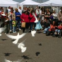 The Front Range Birding Company ico