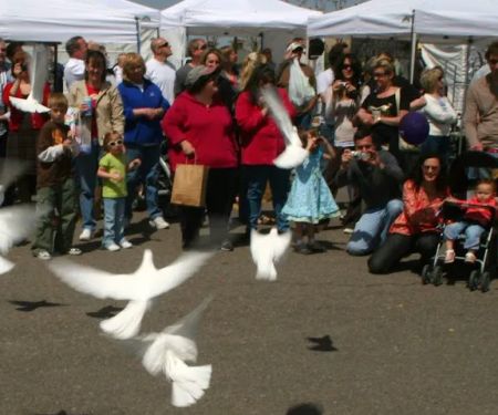 The Front Range Birding Company