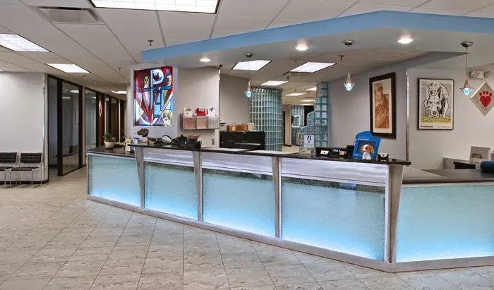 Massapequa Pet Vet Picture 5