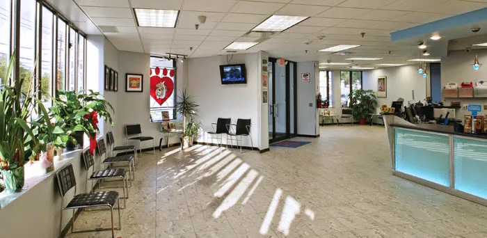 Massapequa Pet Vet Picture 3