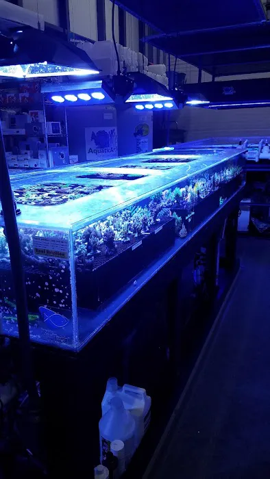 Aquatic Art Inc. Picture 7